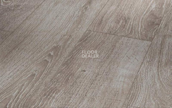 Ламинат Parador Basic Plus 600 XS 1593842 Дуб Светло-серый фото 1 | FLOORDEALER